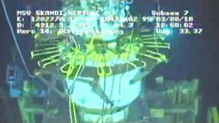 It's Official: Oil Leak Killed