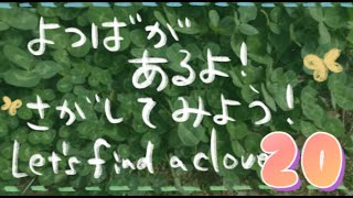 四葉はどこにあるのかな？その20　Let‘s find  clovers！【part20】