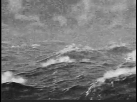 1807186022732717 Youtube