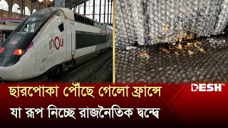 ছারপোকা পৌঁছে গেলো ফ্রান্সে, যা রূপ নিচ্ছে রাজনৈতিক দ্বন্দ্বে | France BED Gugs | Desh TV