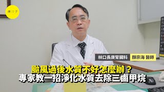 颱風過後水質不好怎麼辦？專家教一招淨化水質去除三鹵甲烷【療新聞】