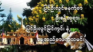 ပြင်ဦးလွင်မနက်စာ ၊ ရွှေမြင်တင် ဦးခန္တီဘုရား နဲ့ ဖက်ထမင်း