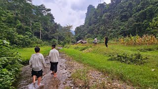 Khối nghỉ hè T2 lang thang vào bản gà Chín cựa hái rau rừng vịt suối. Nguyễn Tất Thắng