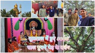 शुक्रताल में हुए 5000 साल पुराने पेड़ के दर्शन / By #paramsinghal #shukratal #shivshankar #shiv