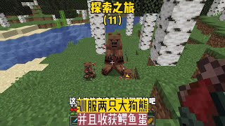 探索之旅（11）：馴服兩只大狗熊，并且收獲鱷魚蛋 #我的世界 #MC #Minecraft #MOD #mc