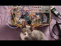 Patch Notes 014: Purple Quilt | Generative Music w/ Mostly Mutable Instruments Modular Synthesizer
