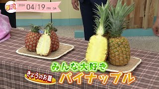 5きげん知恵袋～みんな大好き パイナップル～