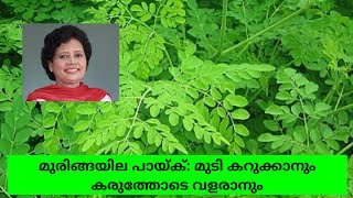 മുടി വളർച്ചയ്ക്ക് മുരിങ്ങയില | Dr Lizy K Vaidian