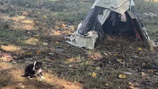 Puppy Separated From His Mother And Thrown Away Alone In The Rain!