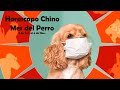 🔔 Horoscopo Chino Octubre Mes del Perro🐶  Predicciones y Aspectos Astrologicos