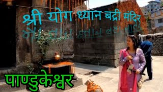 Visit to Yog Dhyan Badri, Pandukeshwar योग ध्यान बद्री, पाण्डुकेश्वर