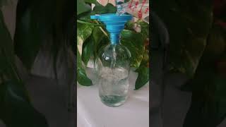 DIY  Non-Toxic Wrinkle Releasing Spray! shorts