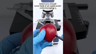 Apple A Hidden World Under the Microscope – Bacteria Close-Up #science #microscopic #microscope