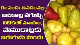 జీడి ఉపయోగాలు | jeedi pandu uses,during pregnancy,skin,cashew nuts benefits and side effects