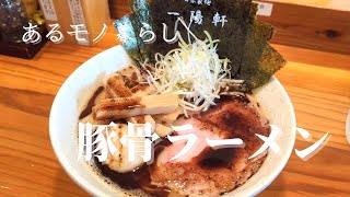 【名古屋人気ラーメン店】味もさることながら接客の良さに感動できる行列店【一陽軒】