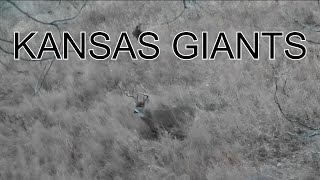 Kansas Public Land DIY Archery Deer Hunt Rutcation