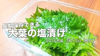 大葉の塩漬け　長期保存可能です♪【料理】Salted perilla leaves（Shiso leaves）Let's Cooking！ / ジュエリーBOX