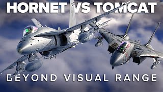 F/A-18 Hornet VS F-14 Tomcat BVR Fight | DCS World