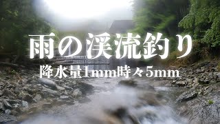 雨の日は釣れる…らしい｜渓流ルアー