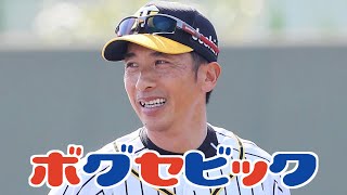 【ショートネタ】虎に激震！矢野監督､今季限りでの退任を表明･･･！【ボグセビック】#shorts