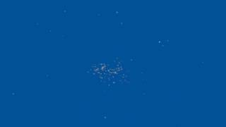 Unity 3d Boids-Based Demo
