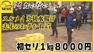 「イカいない」スルメイカ初水揚げ去年のわずか5分の1ほど　初セリは1kg8000円の最高値　函館市