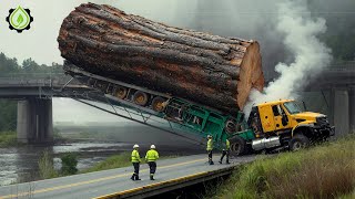 Dangerous Idiots Truck \u0026 Heavy Equipment Fails Compilation | Extreme Truck Idiots at Work #79