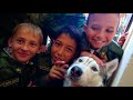 dogvlog ХАСКИ ИДЕТ В ШКОЛУ ЧТО В МОЕМ РЮКЗАКЕ Говорящая собака