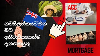 නවසීලන්තයට එන ඔබ අනිවාර්යයෙන්ම දැනගතයුතු ACC and Mortgage