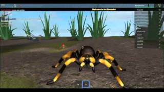 Roblox Ant Simulator Spider Android Ios Gameplay - ants life roblox