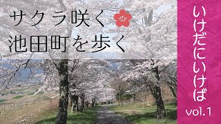 長野県池田町に移住しませんか？【vol.1  クラフトパークを散歩】