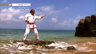 Traditional Karate : The Spirit of Okinawan Karate Vost français