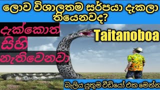 ලොව විශාලතම සර්පයා. Taitanoboa. The World Big Snake . විශ්ව තරනය. ( wishwa tharanaya )