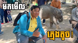 ទៅមើលកូនដំរីលំផាត់និងសត្វផ្សេងទៀតនៅភ្នំតាម៉ៅ!