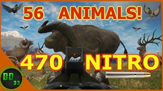 HUNTING EVERY ANIMAL IN THE GAME! (2021 Edition) Call Of The Wild