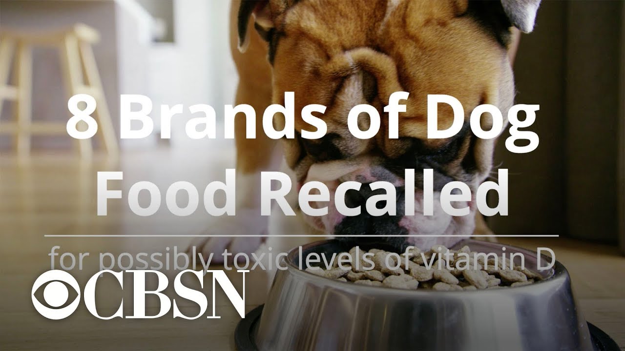 Which Dog Food Brands Are Recalled