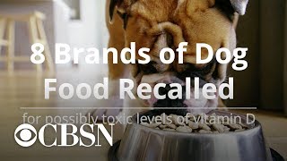 8 brands of dog food recalled