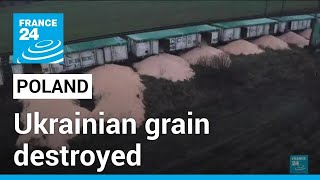 Ukraine blames ‘vandalism’ for grain spills at Polish border as tensions mount • FRANCE 24