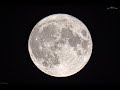Full Moon ~ 14.07.2022 ~ Wolfs Howling
