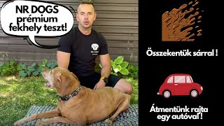 Mit bír ki egy NR DOGS Prémium fekhely? Összesaraztuk és átmentünk rajta egy autóval!