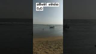 අම්මෝ වැඩනම් ඔන්න වැඩ Subscribe කරන්න 👍 ඒකකුත් දන්න ♥#fyp シ #youtubeshorts #mahata #trending #sri