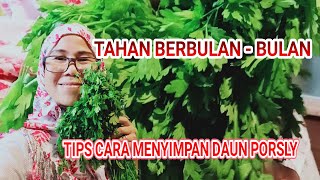 Cara Menyimpan Daun parsley Atau Seledri Agar Tetap Seger Berbulan-Bulan // cerita Tkw Arab Saudi