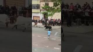 Con ganas de encierros! #bull #toros #awesome #encierro #recortes Link vídeo completo en comentarios