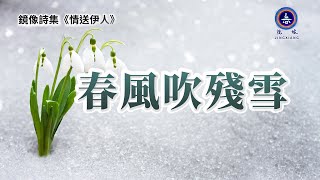 诗歌 禪意 哲理 | 鏡像世界 鏡像詩集 《情送伊人》| 詩歌 - 春風吹殘雪 | 禪心詩人 鏡像