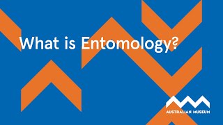 What is Entomology?