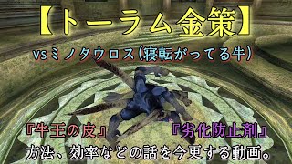 【ミノタウロスでソロ金策】トーラムオンライン