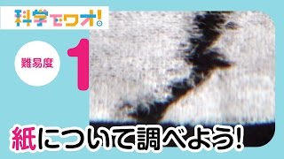 【自由研究】紙について調べよう！