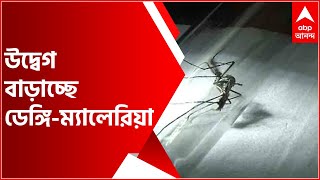 Dengue: ডেঙ্গি থেকে ম্যালেরিয়া, কোভিডের পাশাপাশি উদ্বেগ মশাবাহিত অসুখেও| Bangla News