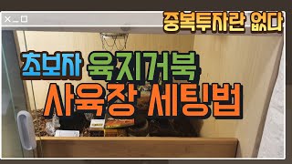 육지거북 사육장 세팅법 [초보자가이드] 중복투자란 없다!