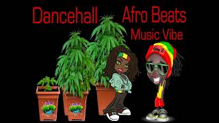 Reggae Dancehall Afro Beats Vibe Mix 2024